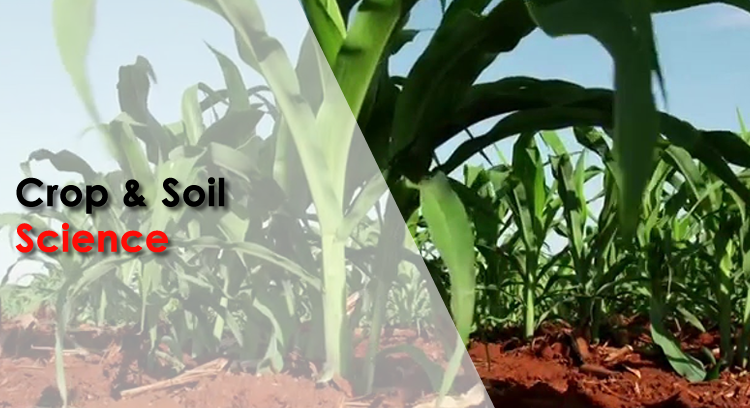 Bachelor of Agricultural Sciences Honours Degree in Soil Science